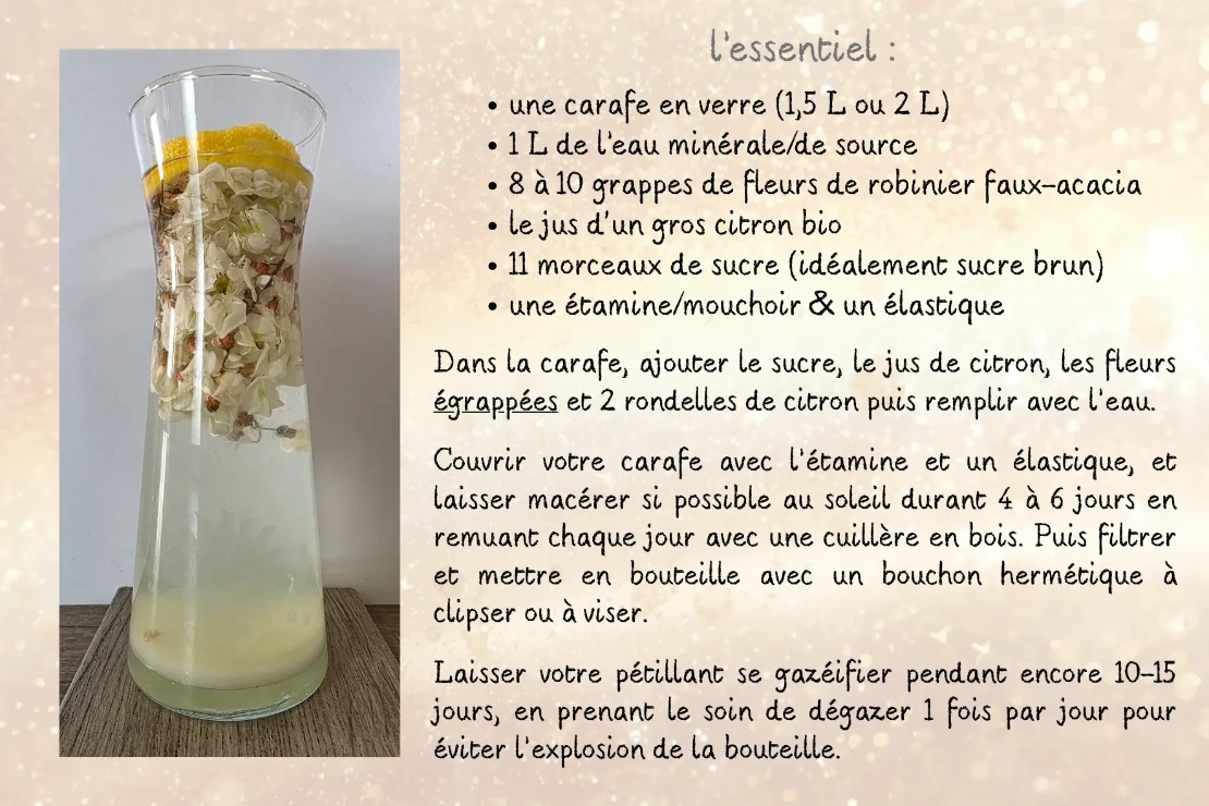 recette de pétillant de fleurs d'acacia