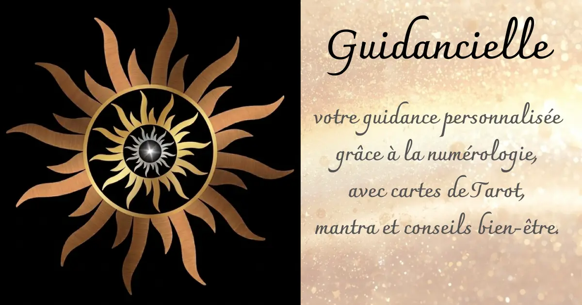 logo et explication guidancielle