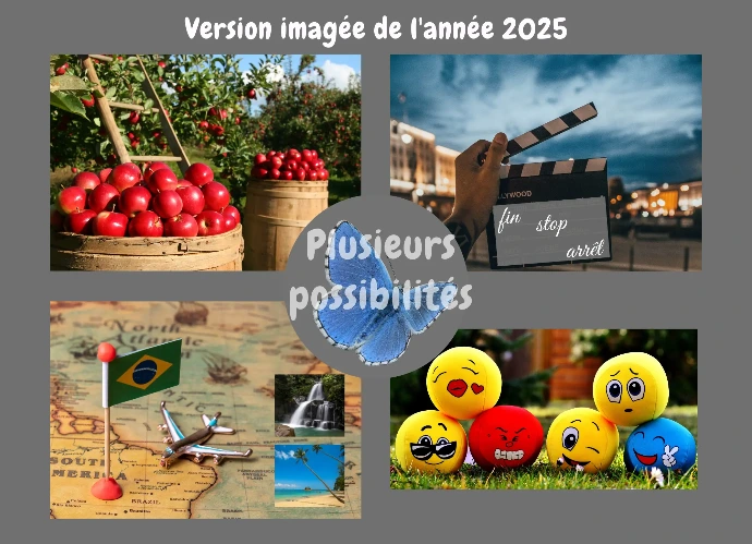 visuel année 2025