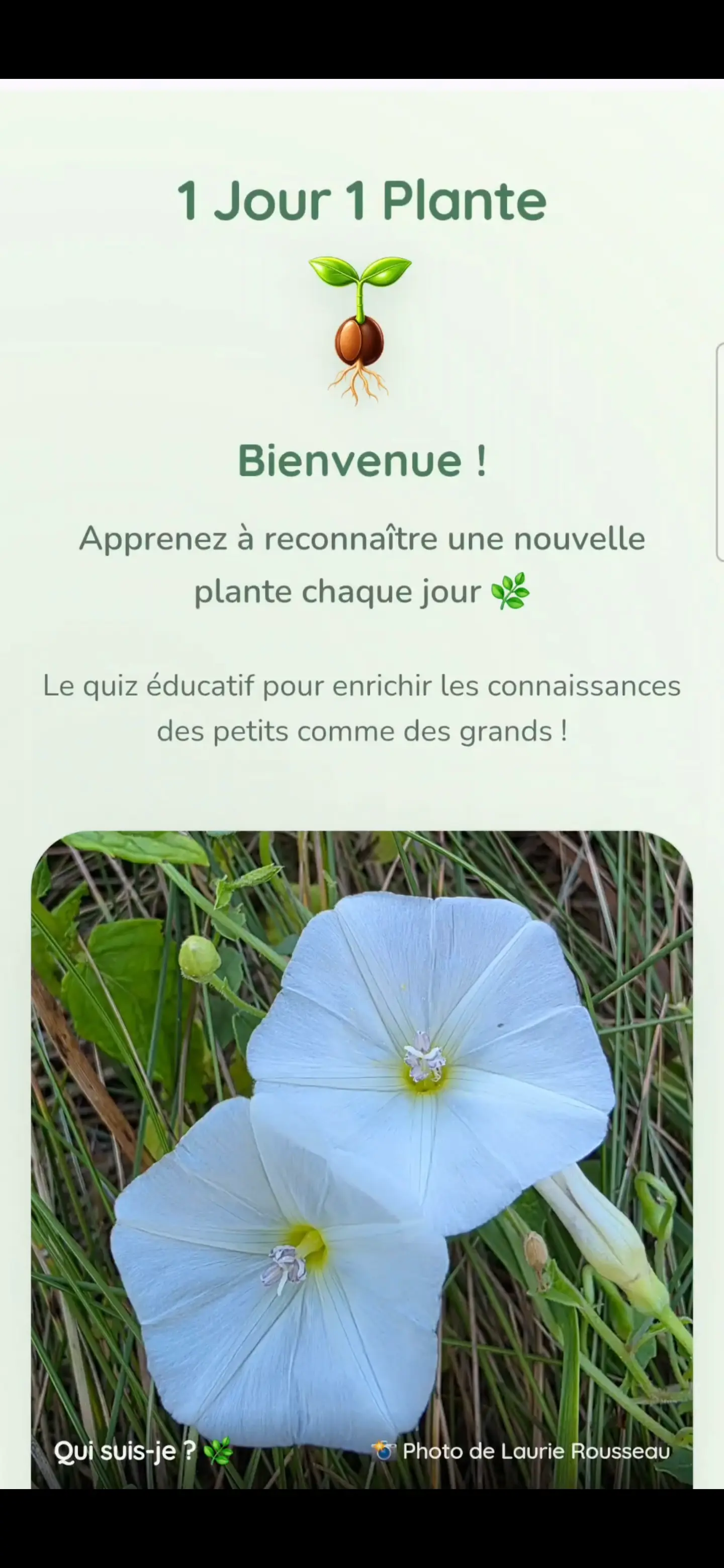 application 1 jour 1 plante