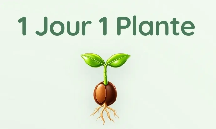 application 1 jour 1 plante