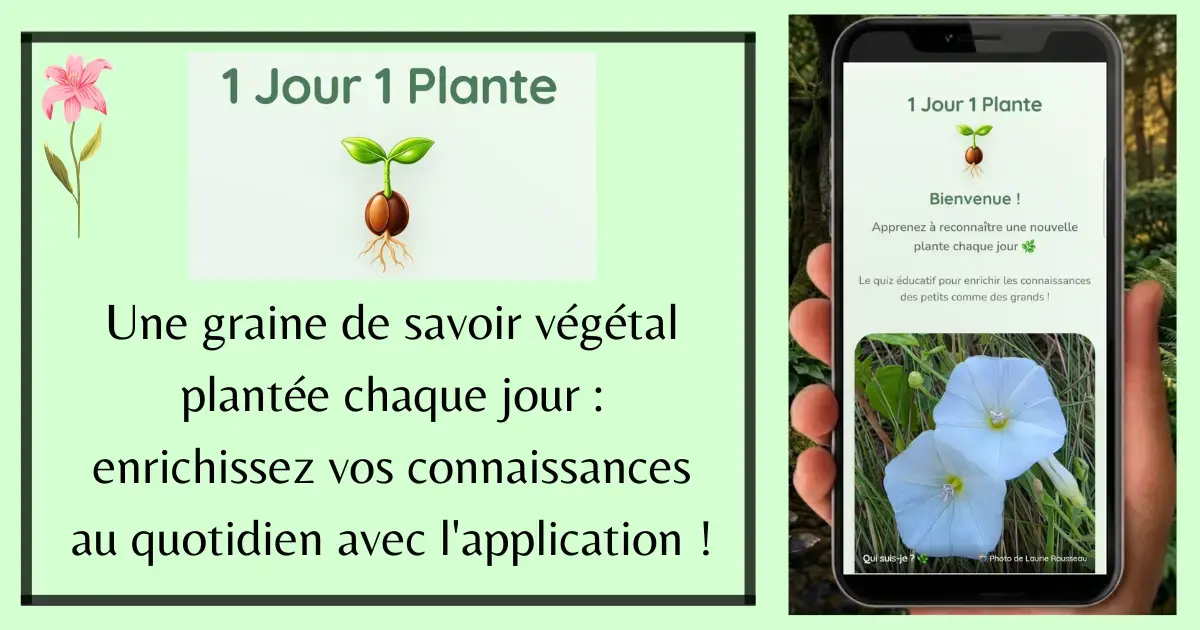 application 1 jour 1 plante