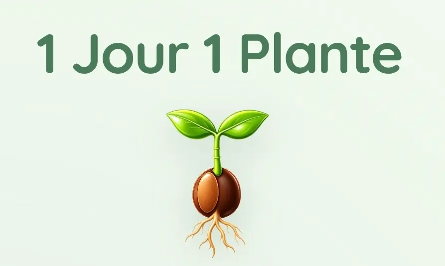 1 jour 1 plante