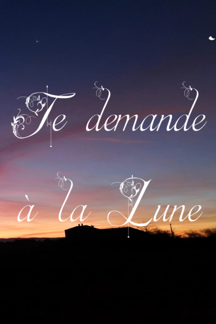 Livre Carnet Je demande à la Lune Les rituels lunaires Laurie Rousseau