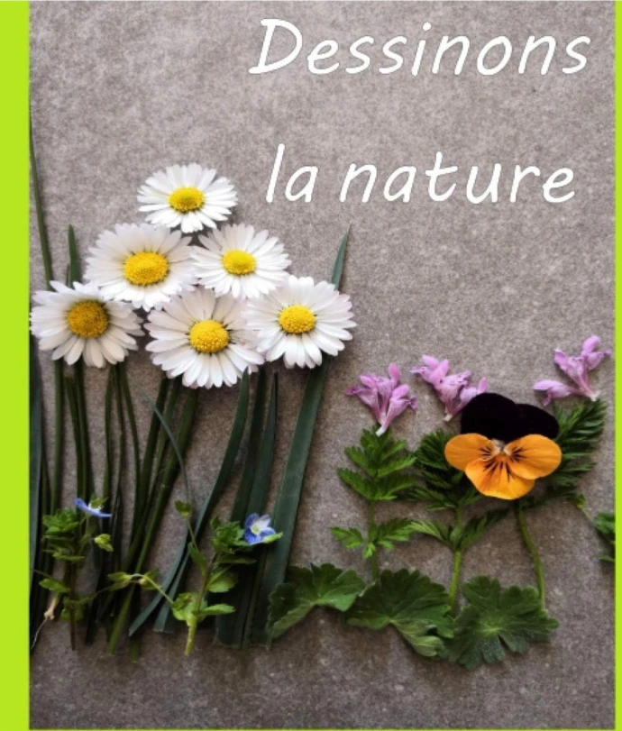 Carnet Jouons avec la Nature Laurie Rousseau