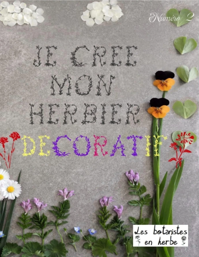 Herbier Décoratif Fleurs séchées Laurie Rousseau