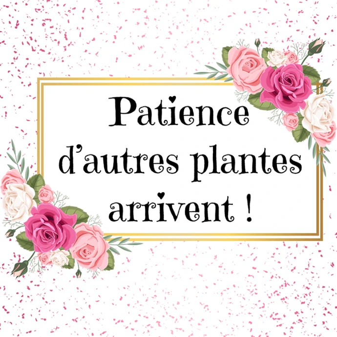 patience
